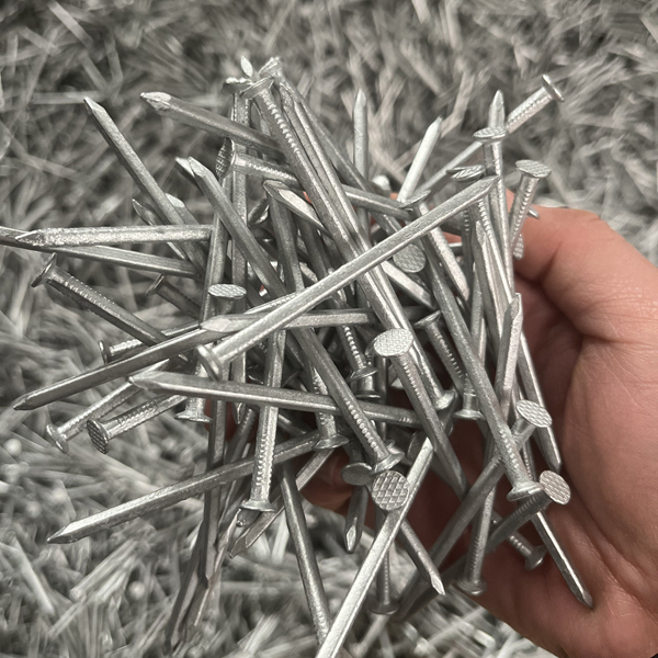 Hot-dip galvanized square boat nail